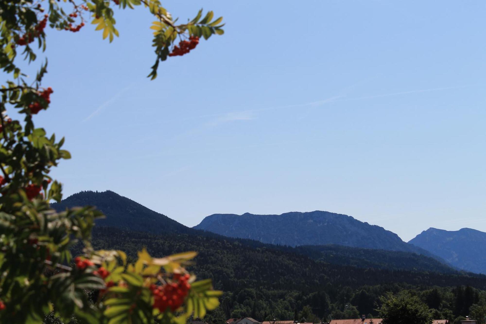 Garni Edelweiss Hotel Siegsdorf