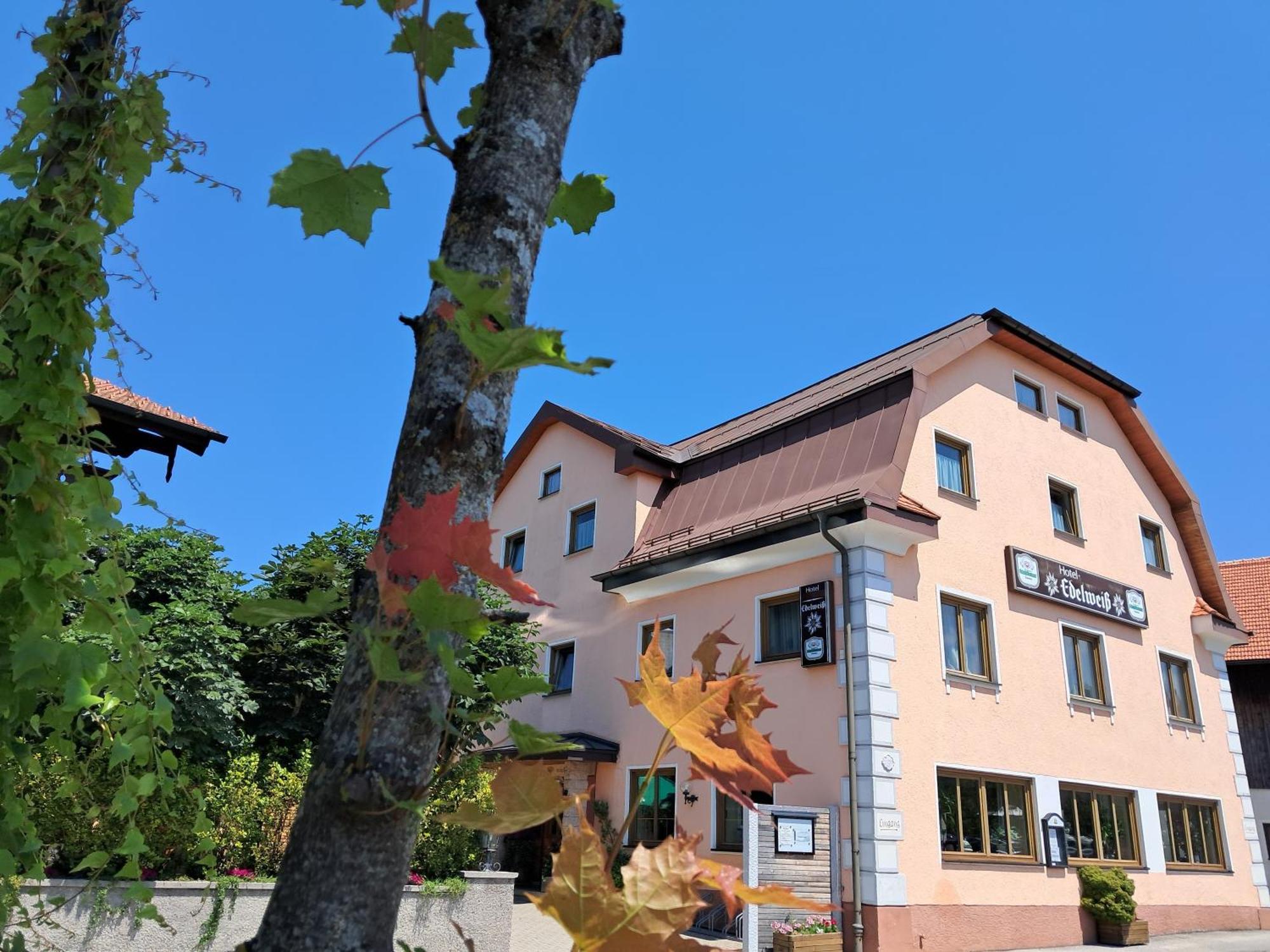 Hotel Garni Edelweiss